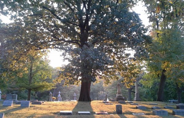 Our History • Woodland Cemetery & Arboretum